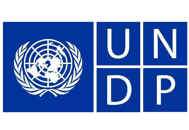 “Survey report” of UNDP
